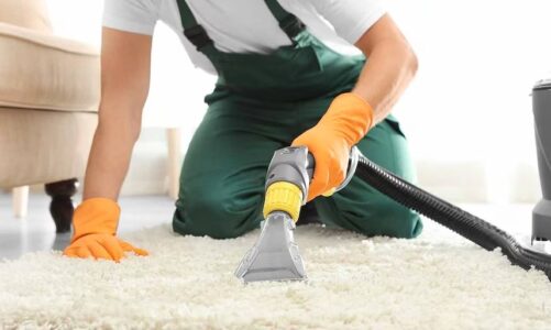 Your Guide to Choosing the Best Carpet Cleaning Machine